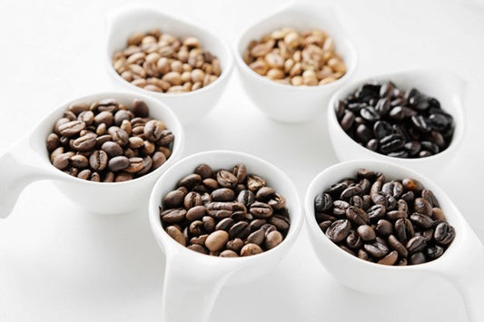 Light vs. Medium vs. Dark Roast Coffee